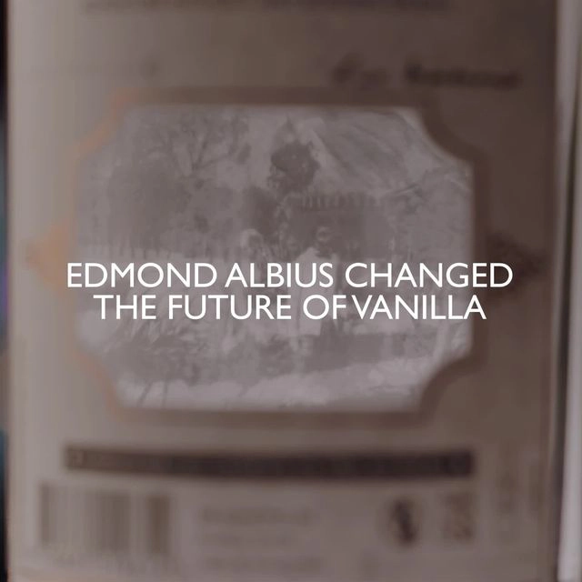 Edmond-albius-square-preview.jpeg (31 KB)
