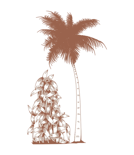 Step 2 vanilla plantation.webp (92 KB)