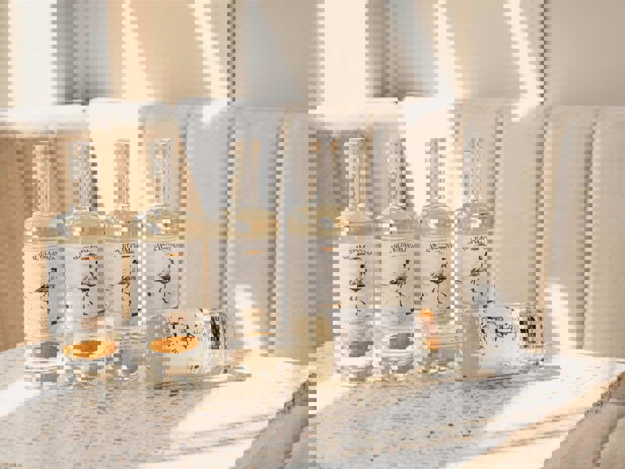 SirEdmondxCurrentRooftop-29-e1687526991675-1200x800.jpg (63 KB)