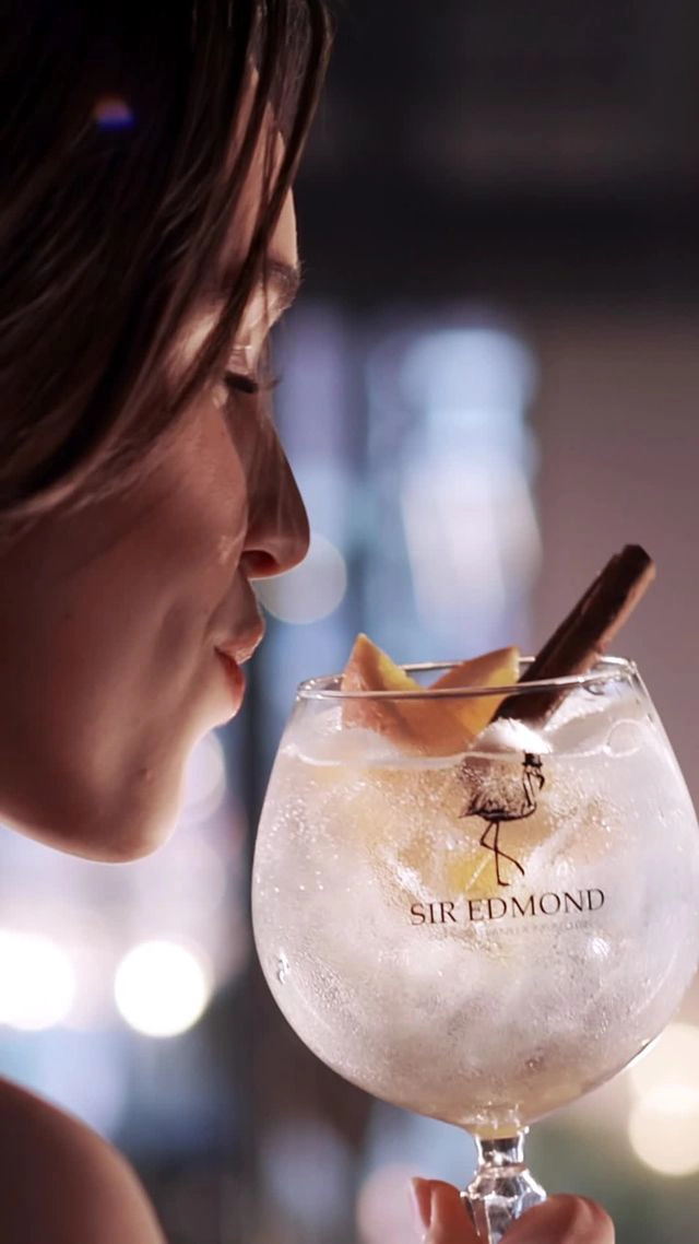 Gin-tonic-vertical-preview.jpeg (63 KB)
