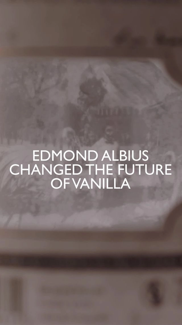 Edmond-albius-vertical-preview.jpeg (47 KB)