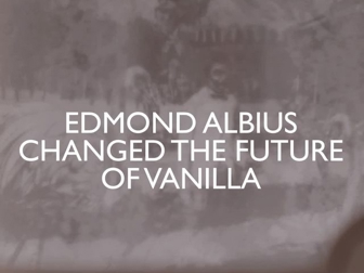 Edmond-albius-vertical-preview.jpeg (47 KB)