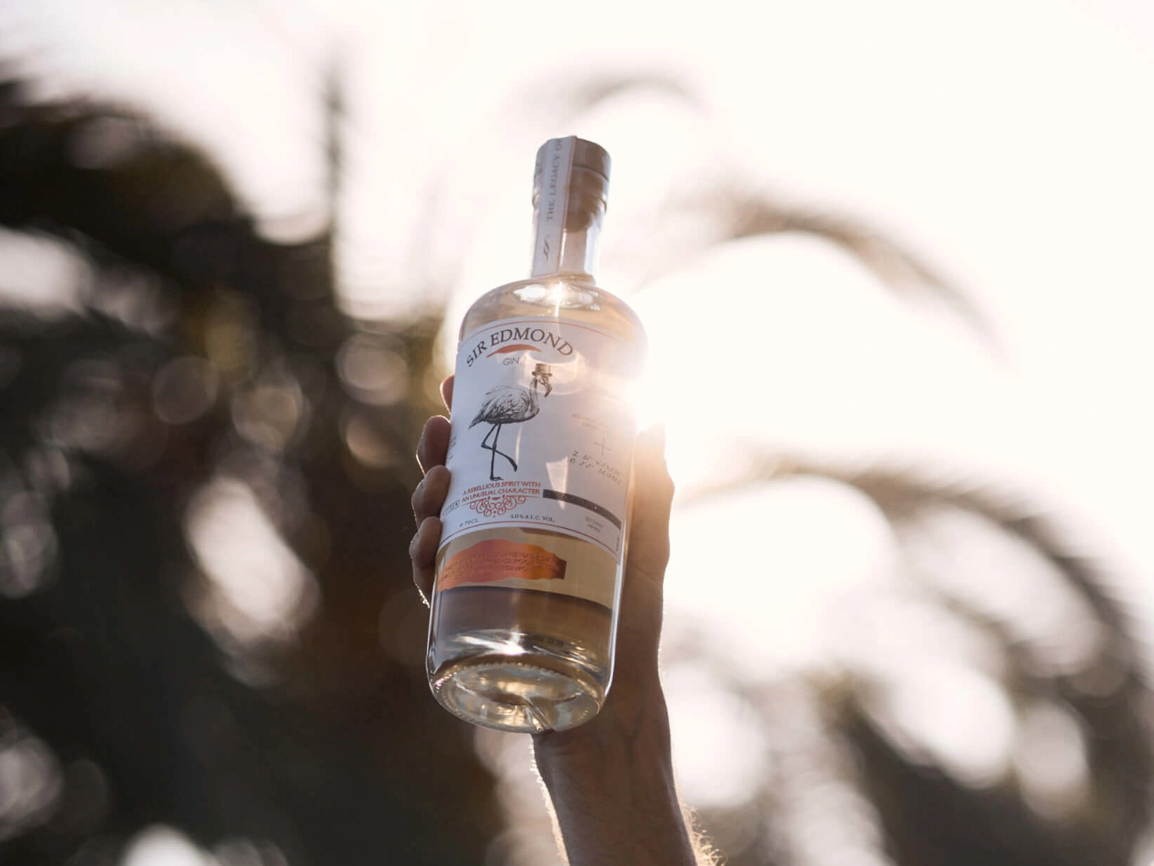 Sir Edmond Gin bottle being held up in the air.