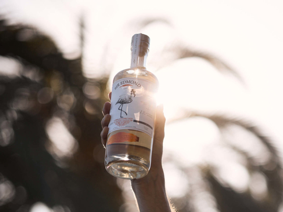 Sir Edmond Gin bottle being held up in the air.