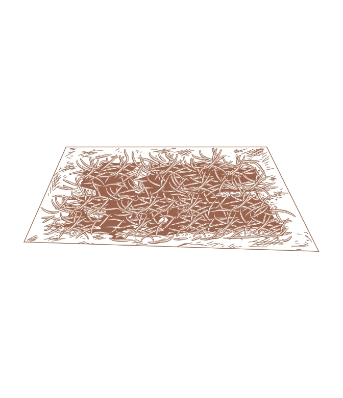 Step 5 the drying.webp (84 KB)