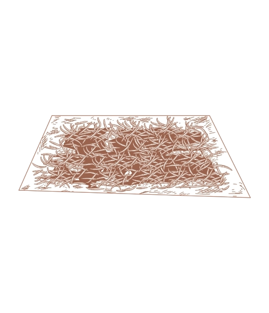 Step 5 the drying.webp (84 KB)