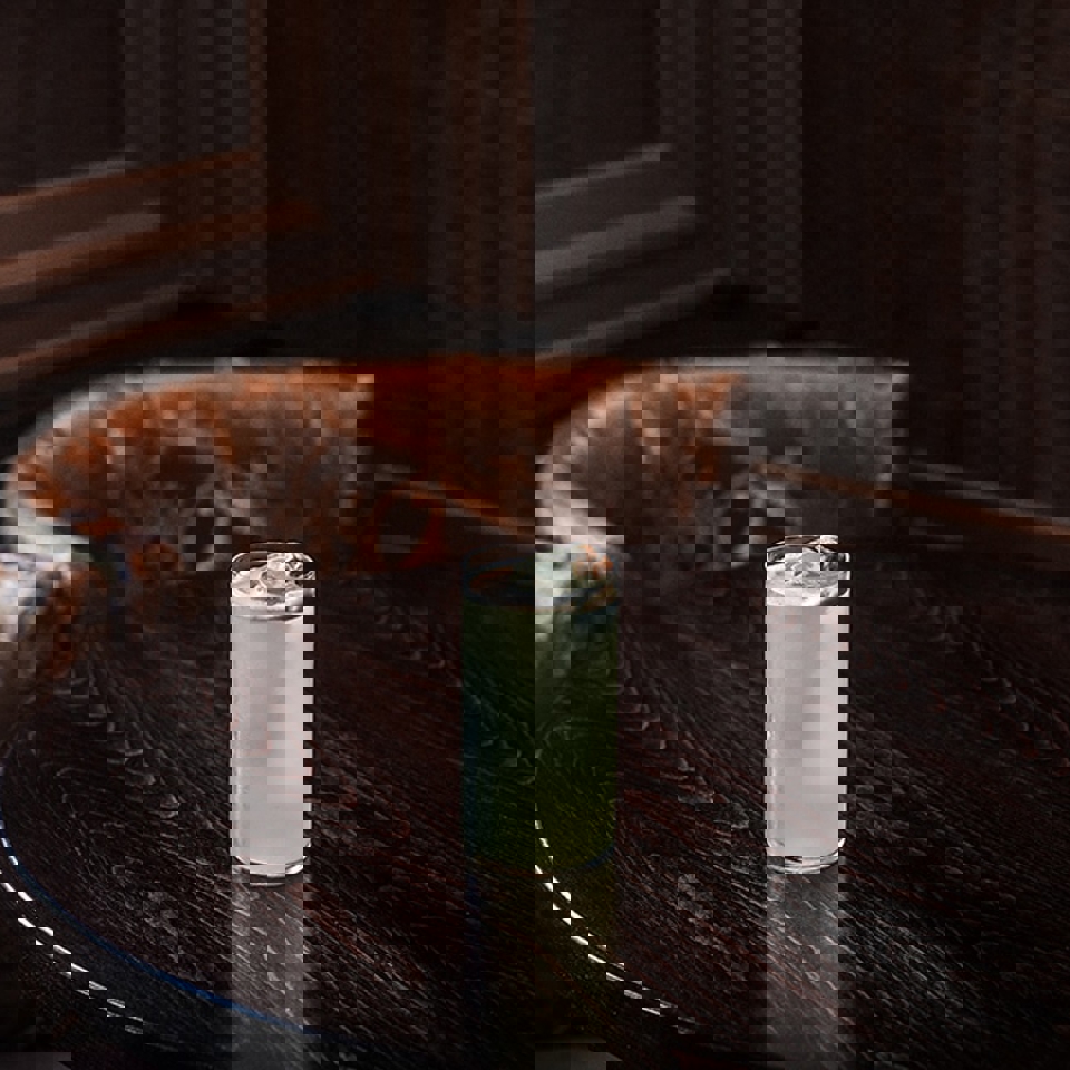 Siredmond-turning-the-other-cheek.jpg (154 KB)