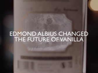 Edmond-albius-horizontal-preview.jpeg (48 KB)
