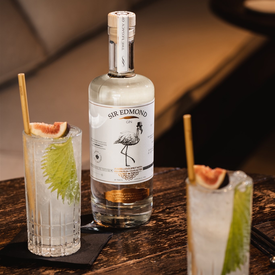 The gin fizz 2 (307 KB)