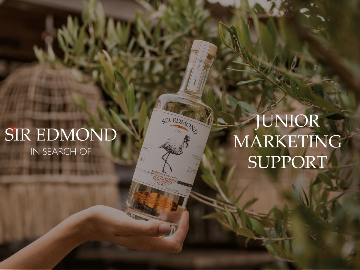 Visual Flamingo journal vacature Junior Marketing Support.png (20678 KB)