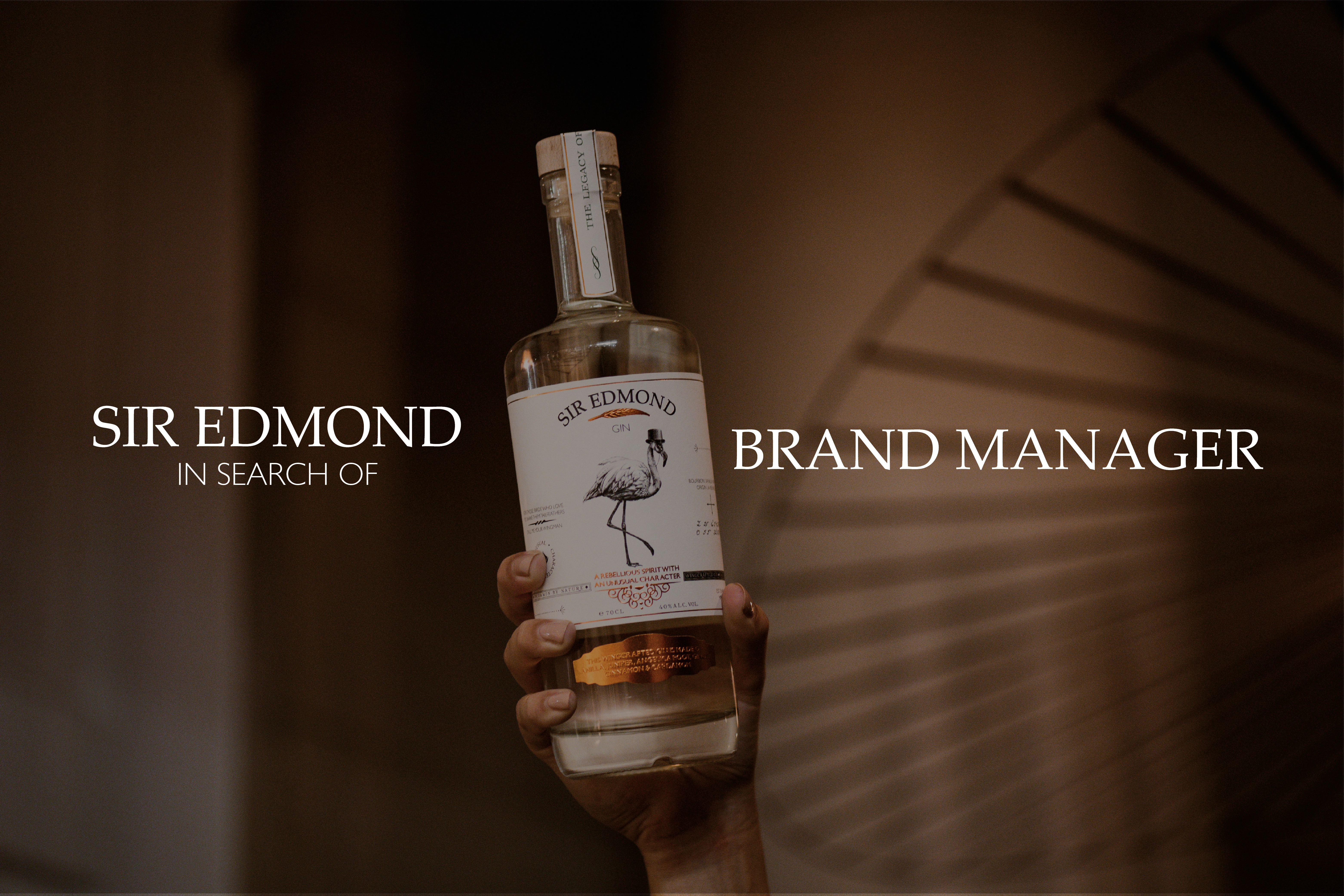 Visual Flamingo journal vacature Brand Manager.png (20763 KB)