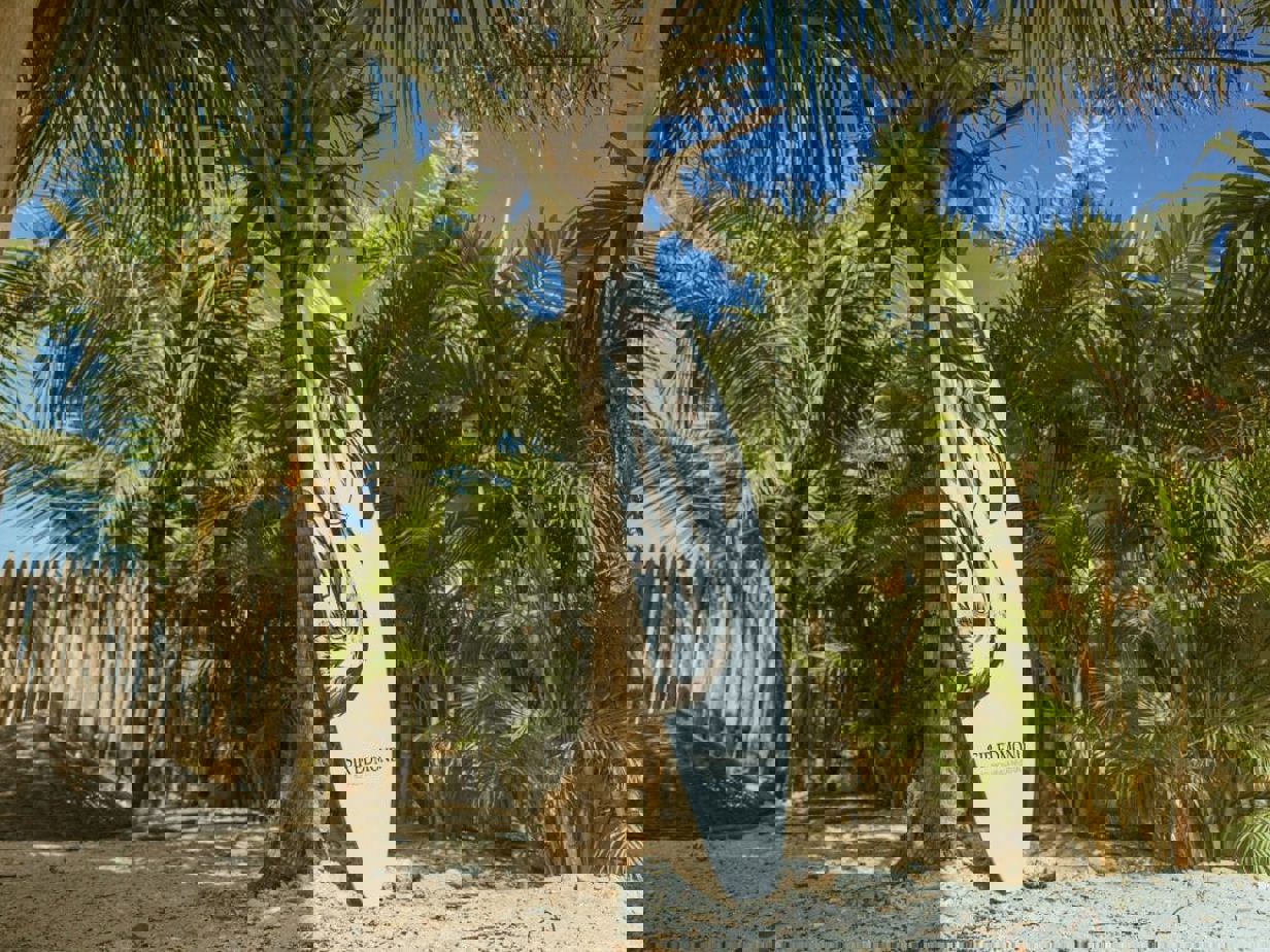 79A7262-1200x800.jpg (234 KB)