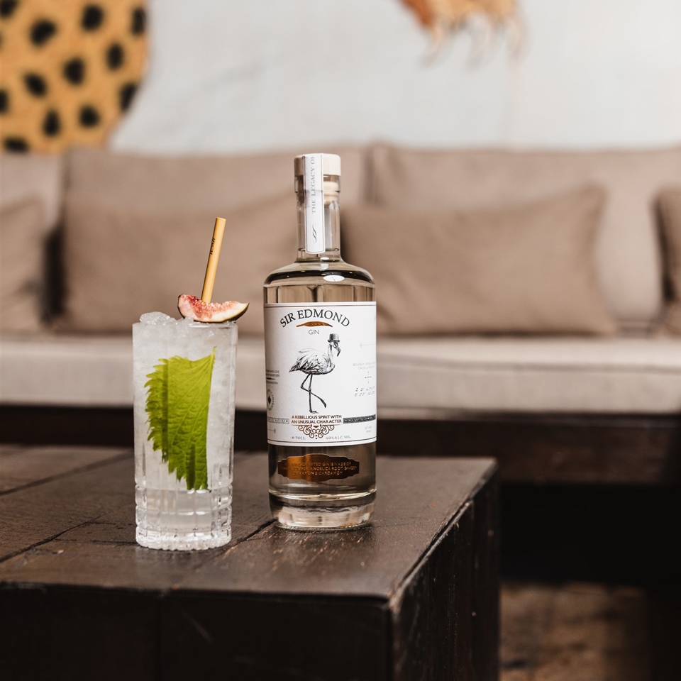 The gin fizz 1 (240 KB)