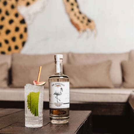 The gin fizz 1 (240 KB)