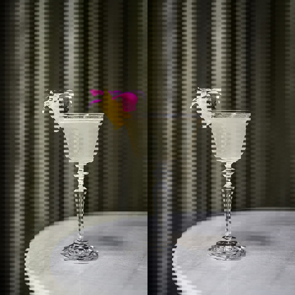 The-Floweer-Next-Door1.jpg (210 KB)