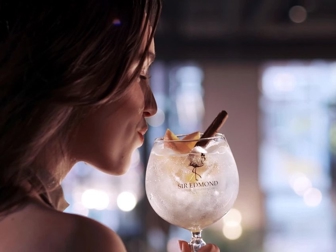 Gin-tonic-horizontal-preview.jpeg (60 KB)